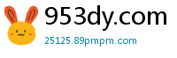953dy.com